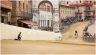 Prove di Addestramento Mattutine: la gallery di Benedetta Aucone
